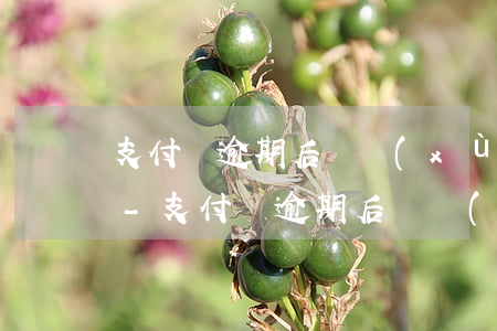 支付寶逾期后陸續(xù)還款會被起訴嗎-支付寶逾期后陸續(xù)還款會被起訴嗎知乎