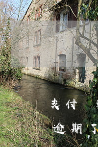 支付寶逾期后額度會減少嗎(支付寶臨時額度逾期了會怎么樣)