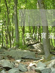 支付寶逾期咋辦(支付寶逾期?)