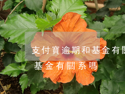 支付寶逾期和基金有關系嗎-支付寶逾期和基金有關系嗎