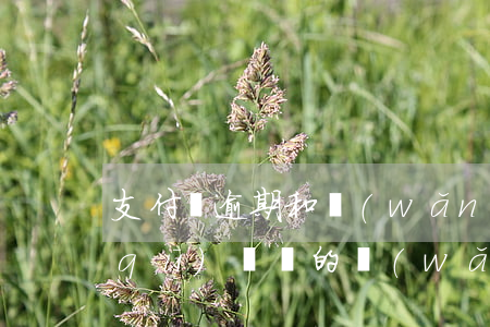 支付寶逾期和網(wǎng)貸逾期的區(qū)別 別的網(wǎng)貸逾期會(huì)影響支付寶嗎