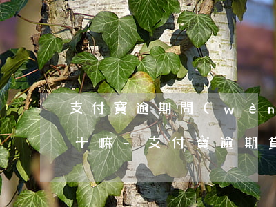 支付寶逾期問(wèn)貸出來(lái)干嘛-支付寶逾期貸款還能貸出來(lái)么