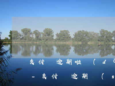 支付寶逾期啦擔(dān)責(zé)任嗎-支付寶逾期說(shuō)是今天不還承擔(dān)法律責(zé)任