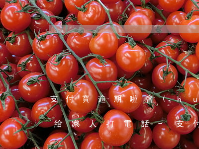支付寶逾期啦會(huì)不會(huì)給家人打電話-支付寶逾期啦會(huì)不會(huì)給家人打電話呢