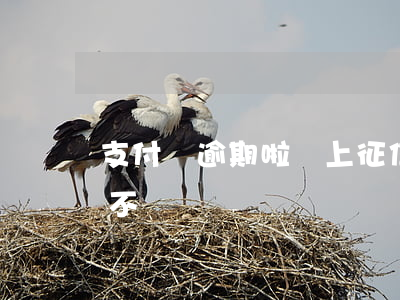 支付寶逾期啦會上征信嗎(支付寶逾期上征信不)