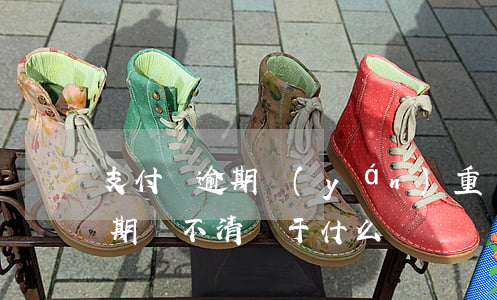 支付寶逾期嚴(yán)重嗎（支付寶長期逾期還不清屬于什么）