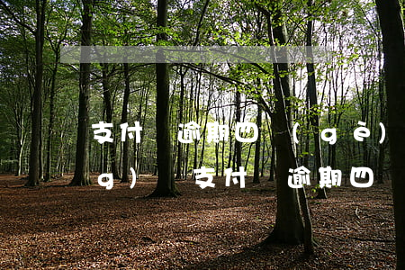支付寶逾期四個(gè)月可以網(wǎng)貸(支付寶逾期四個(gè)月可以網(wǎng)貸)