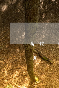 支付寶逾期四個月多少才能 支付寶逾期4個月