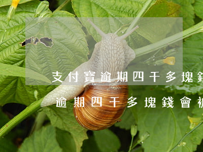 支付寶逾期四千多塊錢會被起訴嗎-支付寶逾期四千多塊錢會被起訴嗎知乎