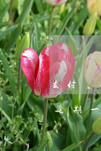 支付寶逾期四年會(huì)坐牢嗎（支付寶逾期一直還會(huì)坐牢嗎）