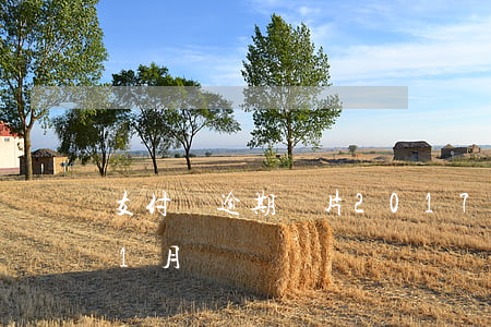 支付寶逾期圖片2017 支付寶逾期圖片11月