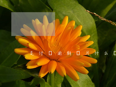 支付寶逾期圖片什么樣