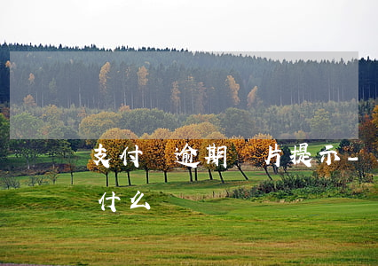 支付寶逾期圖片提示-支付寶逾期圖片提示什么