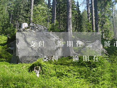 支付寶逾期在三線城市會(huì)上門嗎-支付寶逾期在三線城市會(huì)上門嗎知乎