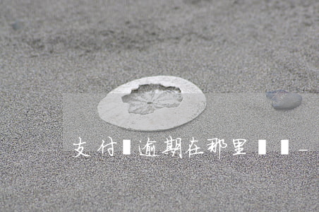 支付寶逾期在那里記錄-支付寶的逾期記錄
