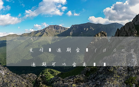 支付寶逾期坐動(dòng)車(花唄支付寶逾期可以坐高鐵嗎)