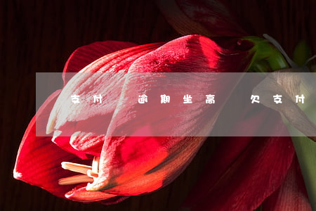 支付寶逾期坐高鐵(欠支付寶多久坐不了高鐵)