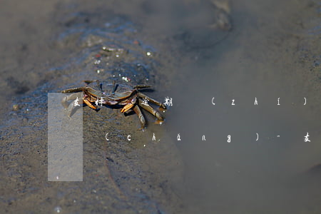 支付寶逾期執(zhí)行現(xiàn)場(chǎng)-支付寶逾期立案