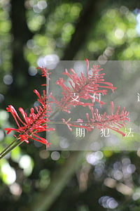 支付寶逾期報(bào)警坐牢嗎(支付寶逾期犯法嗎?)