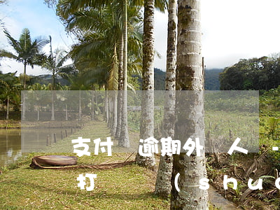 支付寶逾期外訪人員-支付寶逾期外訪人員打電話說(shuō)起訴
