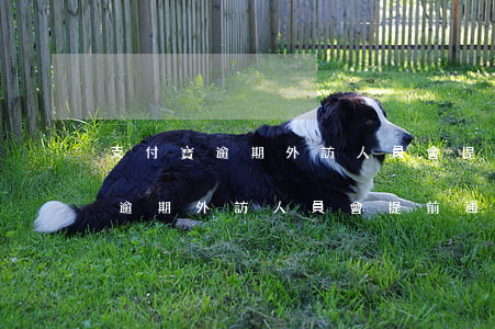 支付寶逾期外訪人員會提前通知嘛-支付寶逾期外訪人員會提前通知嘛
