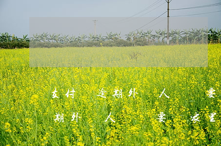 支付寶逾期外訪人員說要來家里-支付寶逾期外訪人員說要來家里是真的嗎
