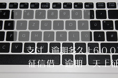 支付寶逾期多久上600(支付寶逾期多久上征信?借唄逾期幾天上征信)