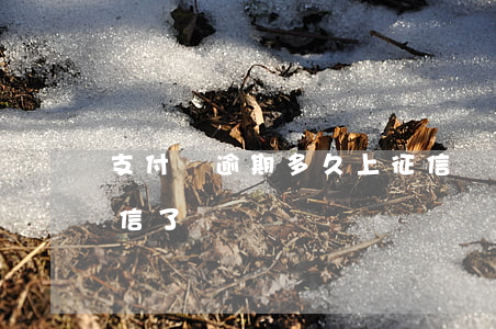支付寶逾期多久上征信報告(支付寶逾期上征信了)