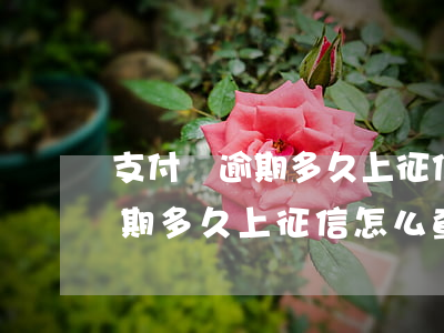 支付寶逾期多久上征信怎么查詢-支付寶逾期多久上征信怎么查詢不到