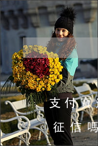 支付寶逾期多久上征信與白條(支付寶白條上征信嗎)