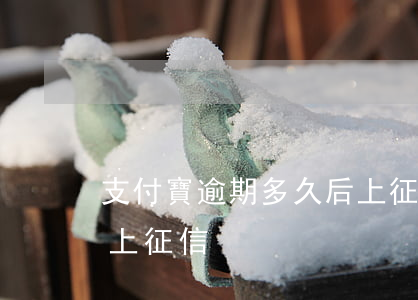 支付寶逾期多久后上征信 支付寶逾期多久才上征信