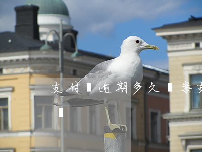 支付寶逾期多久報案(支付寶逾期多少天會起訴)