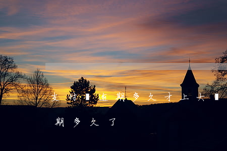 支付寶逾期多久才上大數據庫(大家支付寶逾期多久了)