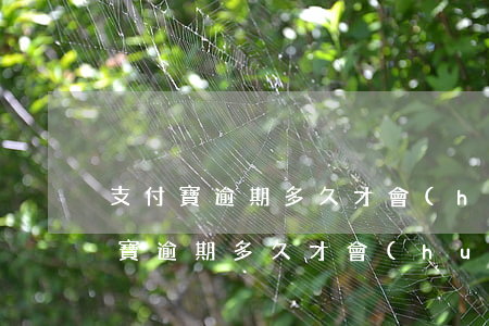 支付寶逾期多久才會(huì)上征信(支付寶逾期多久才會(huì)上征信黑名單)