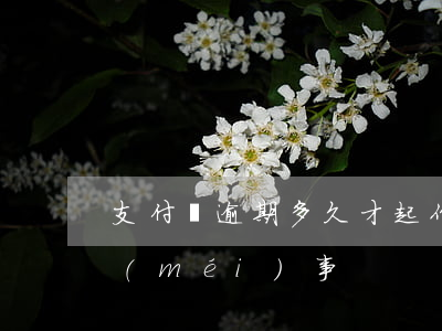 支付寶逾期多久才起作用(支付寶逾期多久沒(méi)事)