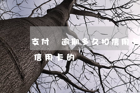 支付寶逾期多久扣信用卡(支付寶逾期會扣到信用卡的錢)