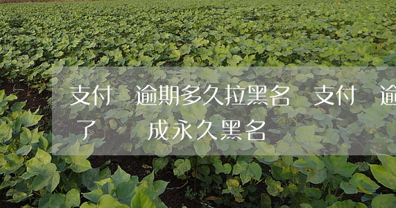支付寶逾期多久拉黑名單(支付寶逾期幾個月了會變成永久黑名單嗎)