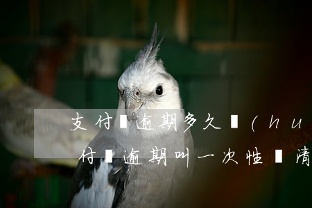 支付寶逾期多久會(huì)一次性還款（支付寶逾期叫一次性還清楚）