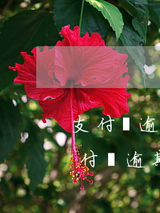 支付寶逾期多久會(huì)上失信名單(支付寶逾期多久會(huì)影響信用)
