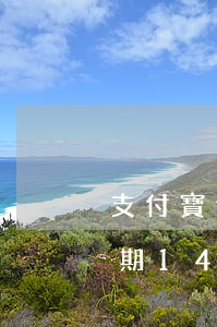 支付寶逾期多久會(huì)上訴（支付寶逾期14個(gè)月上訴）
