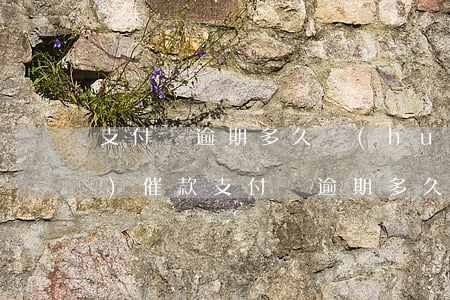 支付寶逾期多久會(huì)上門(mén)催款（支付寶逾期多久會(huì)上門(mén)催款）