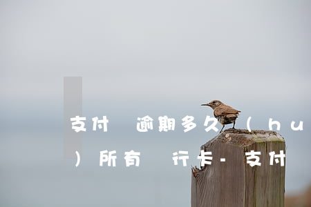 支付寶逾期多久會(huì)凍結(jié)所有銀行卡-支付寶逾期多久會(huì)凍結(jié)所有銀行卡賬戶
