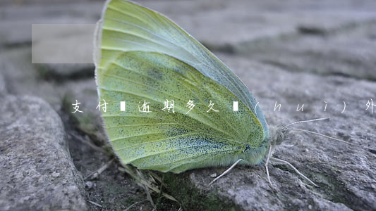 支付寶逾期多久會(huì)外包