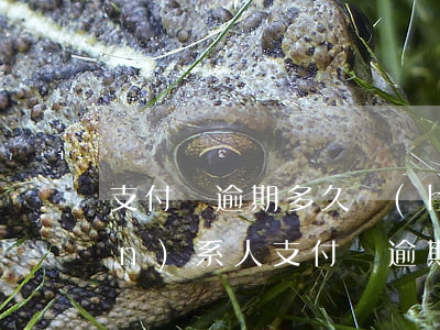 支付寶逾期多久會(huì)打聯(lián)系人(支付寶逾期多久會(huì)聯(lián)系家人)