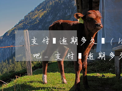 支付寶逾期多久會(huì)有外訪上門貼吧-支付寶逾期多久會(huì)有外訪上門貼吧通知
