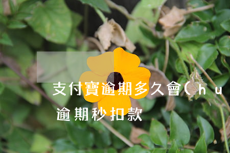 支付寶逾期多久會(huì)秒扣-支付寶逾期秒扣款