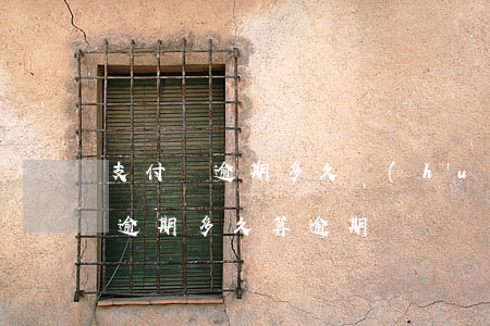 支付寶逾期多久會(huì)立案了(支付寶逾期多久算逾期)