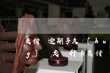 支付寶逾期多久會(huì)自動(dòng)劃走銀行卡 支付寶逾期多久會(huì)自動(dòng)劃走銀行卡
