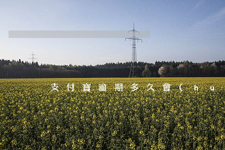 支付寶逾期多久會(huì)被上門