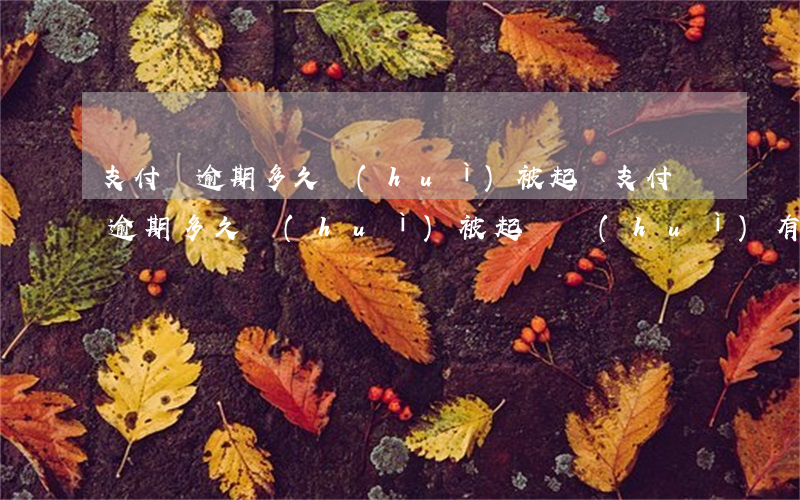 支付寶逾期多久會(huì)被起訴 支付寶逾期多久會(huì)被起訴會(huì)有什么后果